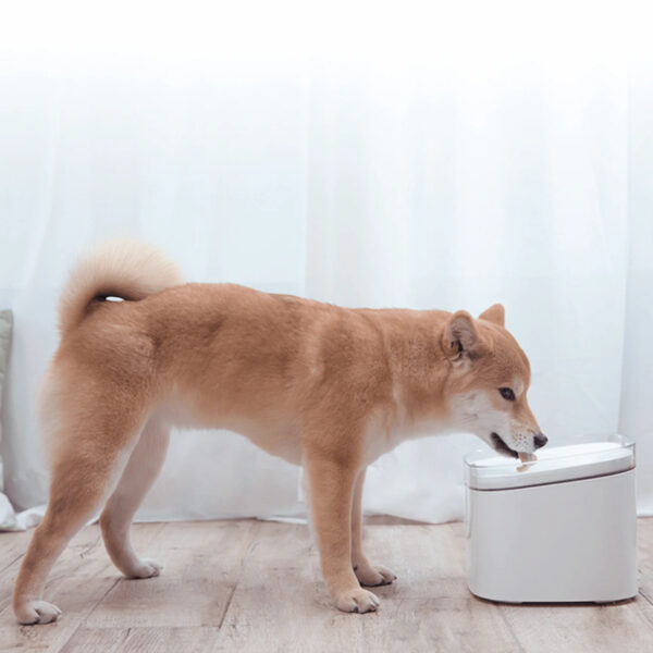 Xiaomi Smart Pet Fountain EU - Image 5