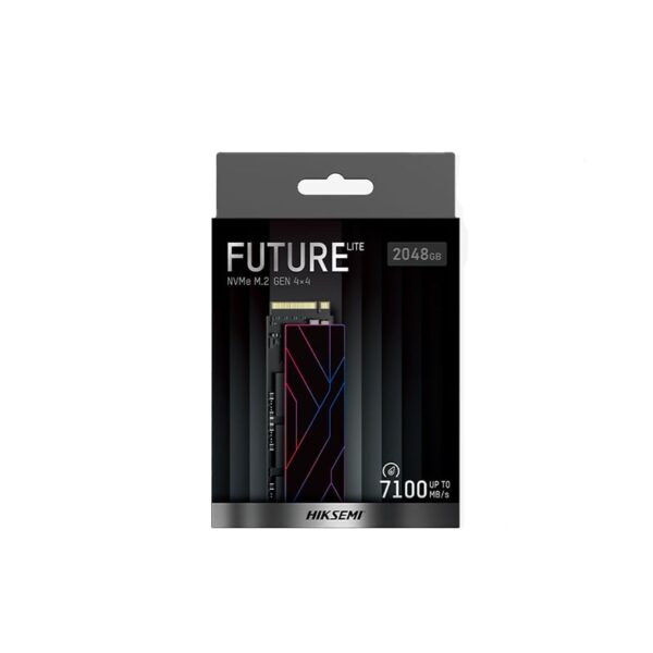 HIKSEMI Future Lite 2TB M.2 NVME Solid State Drive – LK Computers